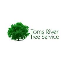 We did not find results for: 7 Best Toms River Tree Services Expertise Com