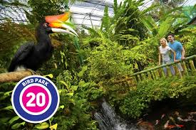 Update harga burung dunia kicaumania. Mysumber Taman Burung Kl Harga Tiket Serendah Rm6 Facebook