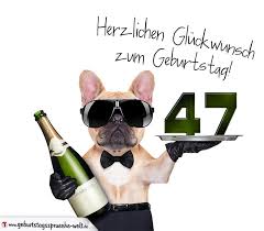 Heute bist du wieder ein jahr näher an grauen haaren, dritten zähnen und rückenschmerzen beim aufstehen. Gluckwunschkarte Mit Hund Zum 47 Geburtstag Geburtstagsspruche Welt