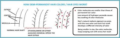 How Demi Permanent Hair Colors Work Permanent Hair Color Demi Permanent Hair Color