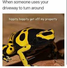 It S 2 Am And I Literally Just Laughed Out Loud Funny Pictures Funny Funny Animals