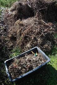 Wir Sind Im Garten Gartenarbeit Und Vorbereitungen Furs Hochbeet In 2020 Gartenarbeit Hochbeet Garten