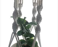 Image result for Jasmine Yellow 1994 Reliant