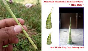 Kebanyakan talempong terbuat dari kuningan, meski ada juga yang terbuat dari. Ole Ole Alat Musik Dari Batang Padi Sarune Balobat Baluat Alat Musik Tiup Padang Alat Musik Tradisional Minangkabau Tradisional Sumatera Barat Padang Minangkabau Saluang Sulliang Seruling Padang Seruling Minang Pariwisata Indonesia