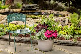 Maybe you would like to learn more about one of these? 20 Plants That Like Full Sun Heat Heat Tolerant Plants Proven Winners