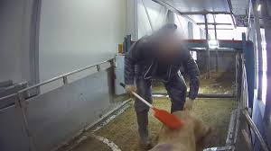 Westfort ijsselstein kamerlingh onneslaan 18 3401 mz ijsselstein. Jaap De Wit Jr Ook Wij Zijn Geschokt Dat Dit Bij Westfort Gebeurt Pigbusiness Nl Nieuws Voor Varkenshouders