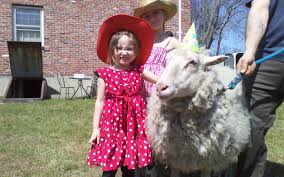 Maybe you would like to learn more about one of these? Enchanted Animal Parties Ct
