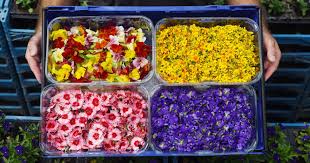 Often they bring surprising colors and aromas to the table. Sainsbury S Is Launching An Edible Flower Range Perfect For Summer Salads Cocktails And Cake Decorating Teesside Live