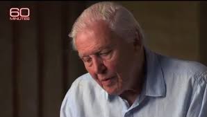 @SeaShan_tyShay's video Tweet