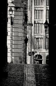 Alice Olive Choosing A Path Old Montreal Quebec Winter Quebec City