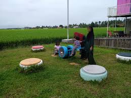 Padi box, a cozy homestay and cafe exquisitely designed from freight containers offering a relaxing space amongst the famous paddy fields of sekinchan. Dunia Anakku Padi Box Homestay Kontena Menarik Di Tengah Bendang Anak Anak Memang Suka