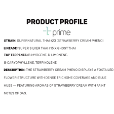Supernatural Thai #23 (Strawberry Cream Pheno) | Prime Wellness | Premium -  Jane