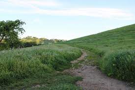 Free Stock Photo Of Dirt Path Through Tall Grass On Hill Tall Grass Grass Paths