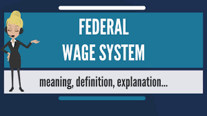 What Is Federal Wage System What Does Federal Wage System Mean Federal Wage System Meaning