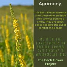 Pin On Bach Flowers