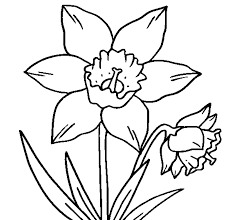 Pin On Needlework