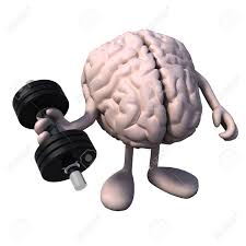 Image result for weight human brain
