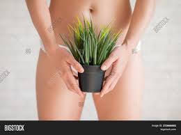 Using a laser to remove the hair at the bikini line eliminates much of the hassle of shaving and waxing. Bikini Area Depilation Image Photo Free Trial Bigstock