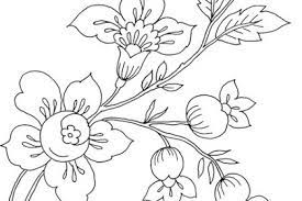 Bunga cantik dengan batang berduri dan daun bergerigi yang khas. Ilmu Pengetahuan 1 Mewarnai Bunga Anggrek