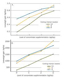 Feeding Silage To Beef Cattle