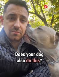 Jack is a real cuddler...