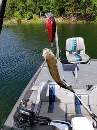 Fishing spots in little rock on yp.com. Lake Ouachita Ar Fishing Reports Map Hot Spots