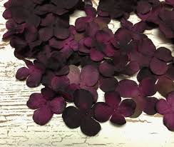 We did not find results for: Eggplant Purple Hydrangea Blossoms 40 Pieces Artificial Flowers Hydrangea Blossoms Hydrangea Purple Artificial Flowers