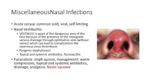 In addition to the symptoms, an infection can. Conditions Of Nose And Paranasal Sinuses Ppt Download