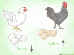 Smart health talk top organic product pick: How To Start A Chicken Farm With Pictures Wikihow
