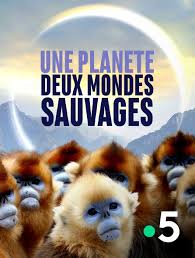 Retrouvez gratuitement tous les replay en streaming de quotidien ainsi que de nombreuses vidéos exclusives et interviews ! Seven Worlds One Planet En Streaming Replay Sur France 5 Molotov Tv