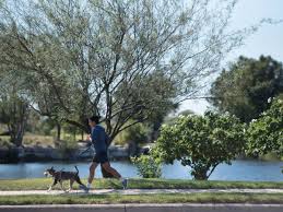 Picnic spots in san antonio. 7 Unexpected Parks And Green Spaces To Discover In San Antonio Culturemap San Antonio Brooks