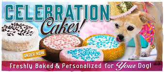 Above on google maps you will find all the places for request dog bakery near me. The Dog Bakery Home Facebook