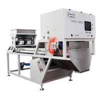 600mm Belt Type Color Sorter Dried Vegetables Fruit Chili Garlic Onion  Seeds Optical Sorting Machine