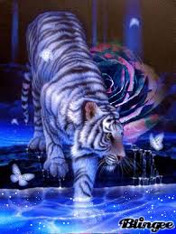 2021 film independent spirit awards nominations announced. 3 White Tiger Gifs Gif Abyss
