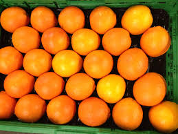 Orangen Www Migros Ch Orange