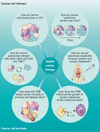 Each person finds his or her own way of coping with the emotional and physical changes cancer brings. Spatial Omics And Multiplexed Imaging To Explore Cancer Biology Nature Methods