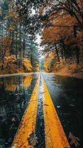Looking for the best 1080p portrait wallpaper? Download Wet Road Wallpaper By Dljunkie Ee Free On Zedge Now Browse Millions Of Popular Landscape Photography Fall Photography Nature Nature Photography