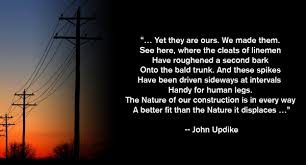 What are telephone poles used for? How Wood Utility Poles Are Made