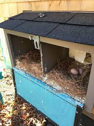 coq au vin small chicken coops chickens backyard chicken coop