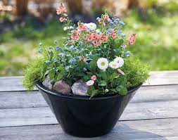 Imagine walking around your house yard while looking at all of those beautiful plants. Tabletop Planter Ideas Garden Gate