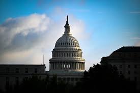 Image result for Lemon Yellow 1990 US Government