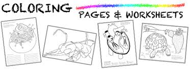 Coloring Pages And Worksheets Ask A Biologist
