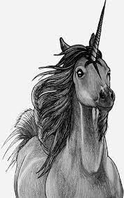 Realistic Celestial Unicorn Unicorn Pictures Unicorn Fantasy Unicorn Drawing