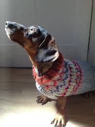 Doggy Sweater Dog Sweaters Dachshund Love Weiner Dog