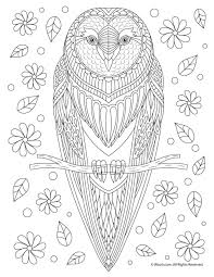 21 479 views 2 799 prints. 270 Owl Coloring Pages For Adults Ideas In 2021 Owl Coloring Pages Coloring Pages Owl