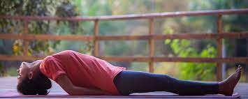 Bikram yoga poses hard for busty women. 22 Popular Animal Yoga Poses And Their Benefits For Men Women Children The Art Of Living India