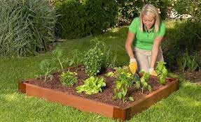 Raised Beds Soil Depth Requirements Sloped Garden Vegetable Garden Planner Raised Garden Beds