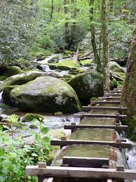 Pin By Ajibike Universe On Hikes Gsmnp More Nature Trail Wonders Of The World Nature Scenes
