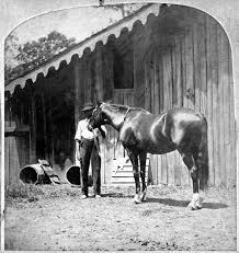 Frank forester's horse and horsemanship of the united states volume one published 1857. Lexington Horse Wikiwand