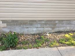The footing is the foundational base of the cinder block wall. Should I Paint My Foundation The Lawn Forum